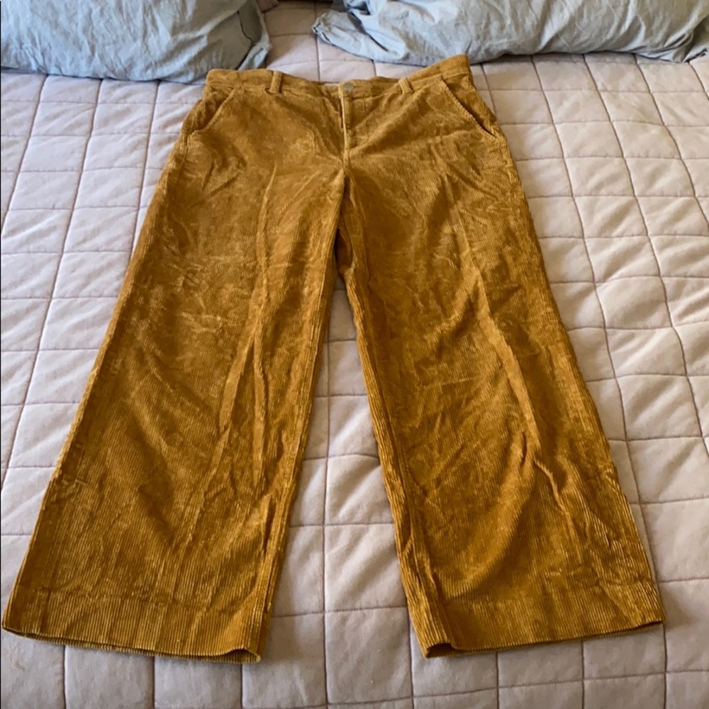 Everlane Corduroy full length pant